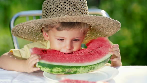 Handsome Toddler Boy Eating Fresh Red Watermelon