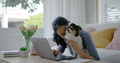 at home office sofa couch workspace hug kiss cute little chihuahua dog. - PhotoDune Item for Sale