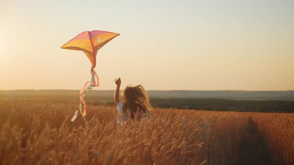 Pretty Girl Playing with Kite in Wheat Field on Summer Day. Childhood, Lifestyle Concept.