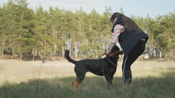 Games with a Dog in the Forest