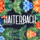 Haiterbach Font - GraphicRiver Item for Sale