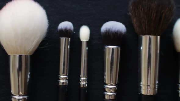 Professional Kit of Makeup Brushes. Set for Make Up Artist