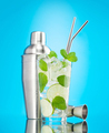 Mojito cocktail and cocktail shaker - PhotoDune Item for Sale