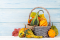 Various colorful squashes and pumpkins - PhotoDune Item for Sale