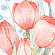 Watercolor Tulips Bouquets Clipar Set - GraphicRiver Item for Sale