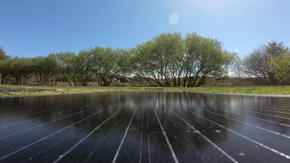 Time Lapse Pf Photovoltaic Modules with Trees and Cows in the Background