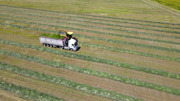 Machine Farming