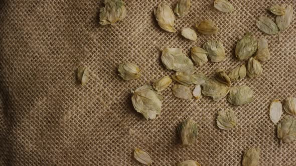 Rotating shot of barley and other beer brewing ingredients - BEER BREWING