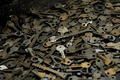 Keys set and lock concept at the Locksmith workshop - PhotoDune Item for Sale