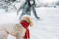 Snowball fight fun with pet and his owner in the snow. - PhotoDune Item for Sale