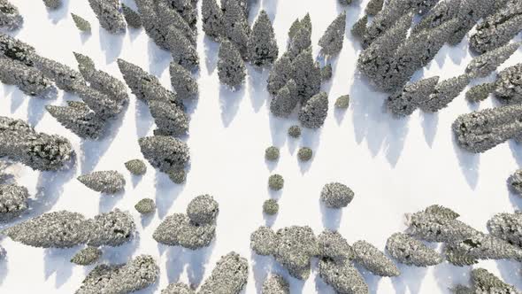 Pattern with Snow Tree Top Cold Weather