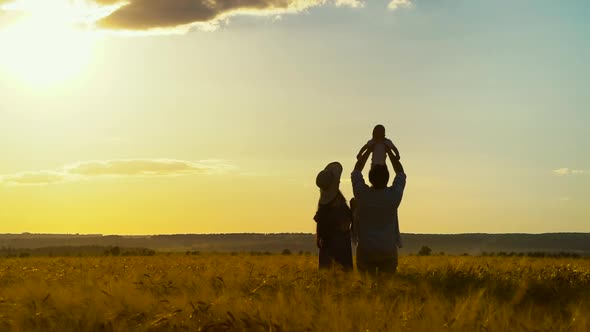 Silhouettes of father raising baby in wheat field at sunset and mother watching