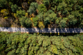 Road in Woodlands at Spring. Aerial Drone Top Down View. Landscape and Nature - PhotoDune Item for Sale