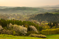 Mist over Rolling Hills at Spring Sunrise in Polish Countryside - PhotoDune Item for Sale