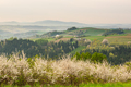 Rural Landscape at Spring Sunrise in Poland - PhotoDune Item for Sale