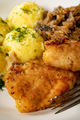 Fried cod fillet . - PhotoDune Item for Sale