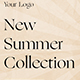 Summer Collection Promo - VideoHive Item for Sale
