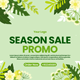 Spring-Summer Season Sale Promo - VideoHive Item for Sale