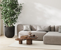 living room interior mockup with gray sofa, scandinavian style, 3d rendering - PhotoDune Item for Sale