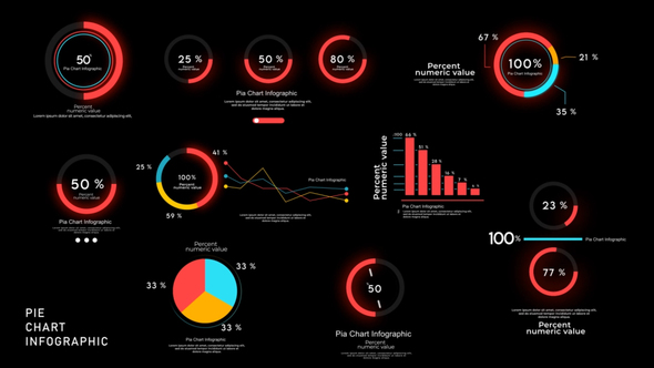 Pie Chart Infographics