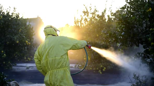 Farm worker spraying pesticide and insecticide on protective suit at lemon trees plantation 