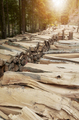 Pieces of cut trees in a mountain forest, deforestation concept. - PhotoDune Item for Sale