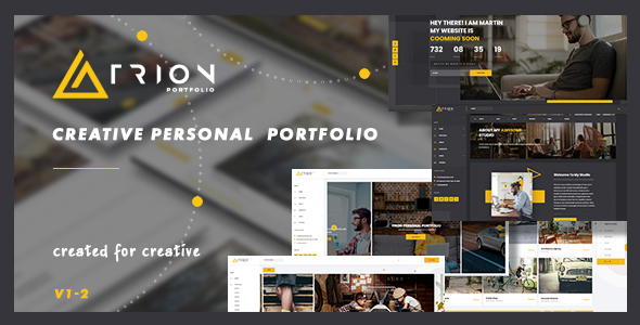 Trion - Creative Responsive Personal Agency Portfolio