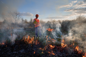 . Man in orange vest and helmet near burning grass with smoke, holding triangle with skull and crossbones warning sign. Natural disaster concept.