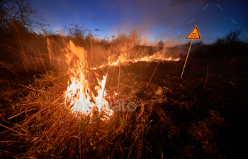 Yellow triangle with skull and crossbones sign warning about danger in field with fire. Ecology, hazard, natural disaster concept.