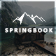 Springbook - Responsive   Blog Travel Photography Template - ThemeForest Item for Sale