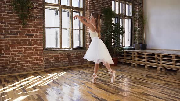 Professional, Classic Ballerina Practices Ballet Moves