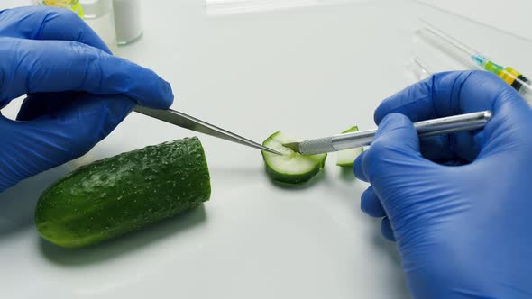 Medical Scientist Specialist Cutting Cucumber with Scalpel and Looking with Magnifying Glass in Food