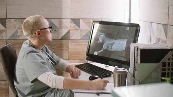 Female Vet Working with X-Ray in Clinic