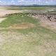 A herd of goats grazes on the border of the sandy desert - VideoHive Item for Sale