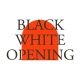 BLACK&WHITE OPENING - VideoHive Item for Sale