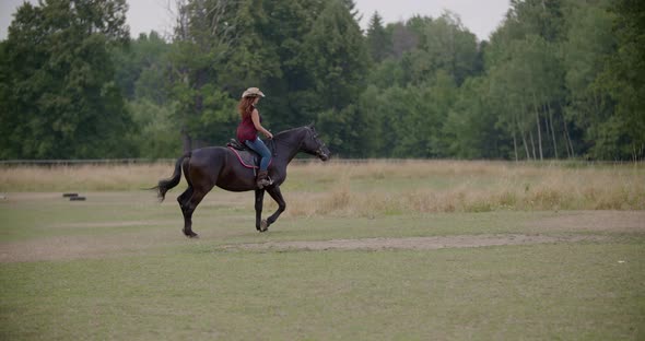 Woman Riding Horse on Farm. Recreation - Woman Walking with Horse