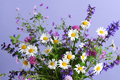 Beautiful summer bouquet - PhotoDune Item for Sale
