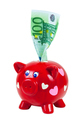 Piggy bank and 100 euro banknote - PhotoDune Item for Sale