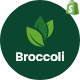 Broccoli - Organic Food Store Shopify Theme OS 2.0 - ThemeForest Item for Sale