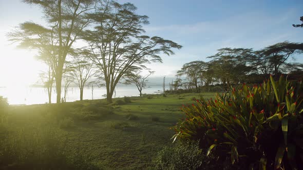 The Shore of the Lake in the Savannah in the Rift Valley