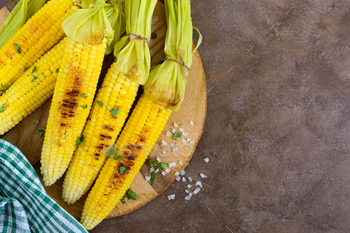 Fresh tasty grilled sweet corn with butter, sea salt and cilantro