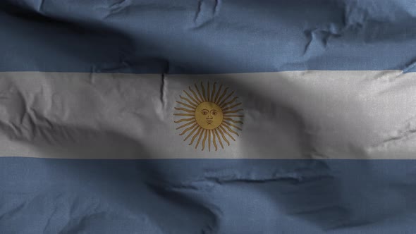Argentina Flag Textured Waving Background 4K