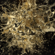 Golden Splash Logo Reveal - VideoHive Item for Sale