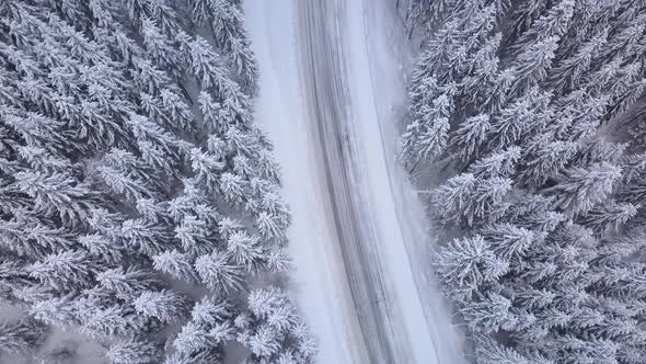 Aerial View of Road in Winter Forest