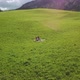 Couple on blanket in green field, Alta Badia, Italy - VideoHive Item for Sale