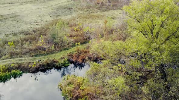 Beautiful Landscape of River Flowing Between Trees