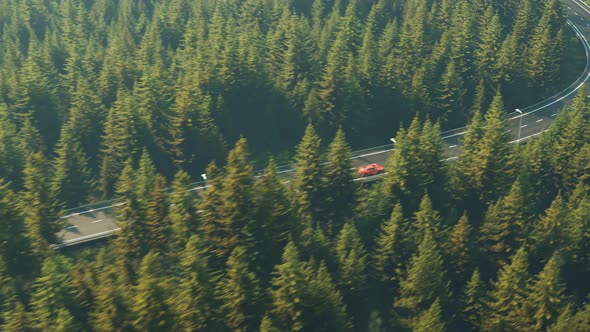 Fast car driving through a coniferous forest on a curvy road during a sunny day.