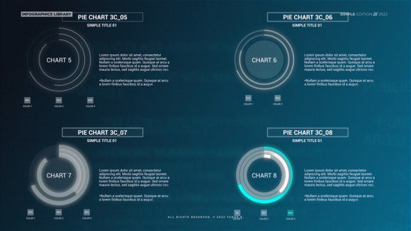 Infographics: Simple Pie Charts V2 alt