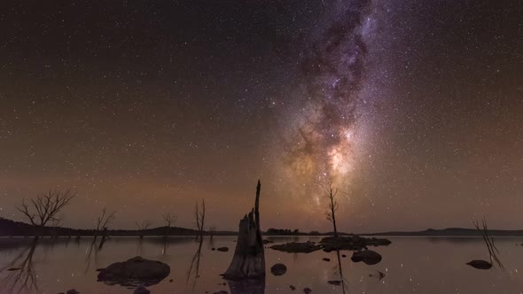 Tasmania Night