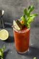 Boozy Refreshing Bloody Mary Cocktail - PhotoDune Item for Sale